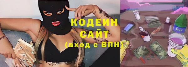 индика Киренск