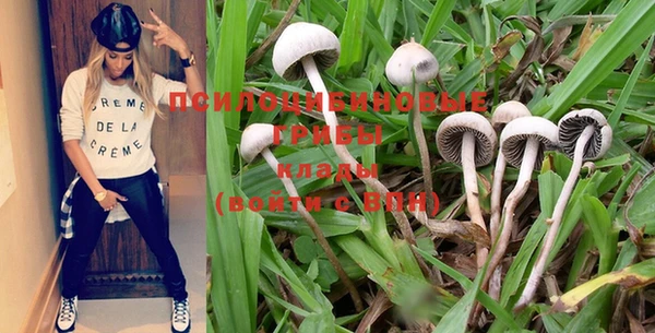 индика Киренск