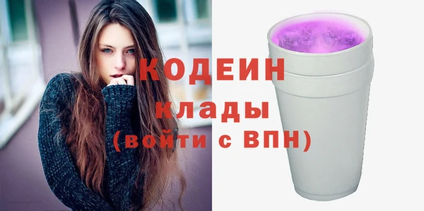 индика Киренск