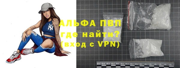 индика Киренск