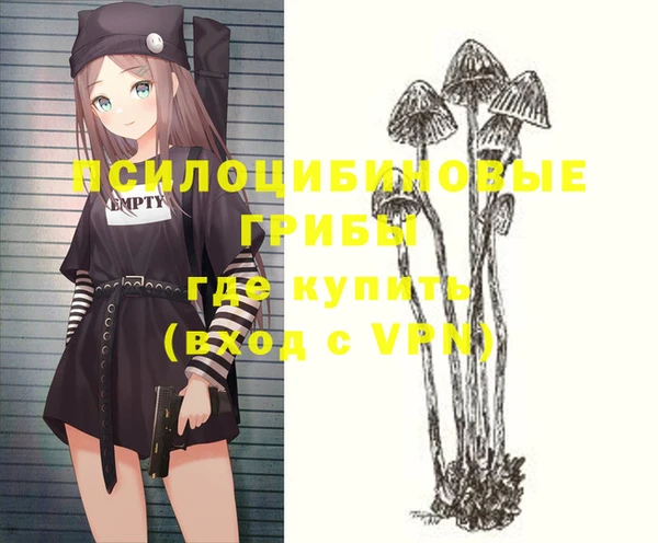 тгк Киреевск