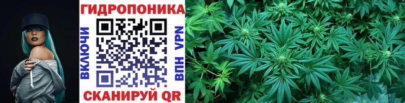 Купить закладки  Челябинск  Канабис Amnesia 